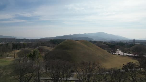 Daereungwon Mezar Kompleksi Gyeongju Güney Kore Kışın Gölet Manzarası Yüksek — Stok video