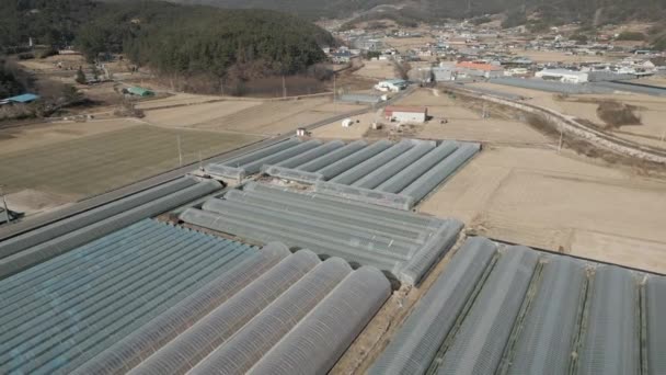 Vinyl Greenhouse Aerial View Winter Gyeongju South Korea High Quality — 비디오