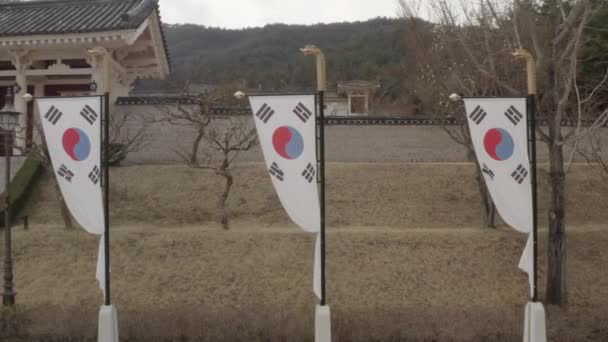 South Korean Flag Waving Wind Aerial View South Korea High — Stock videók