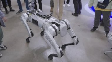 Four-Legged Robot dog robot cheetah, robodog makes movements at Busan Drone Show. High quality 4k footage