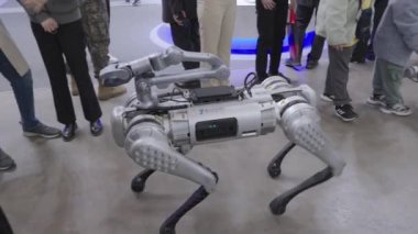 Four-Legged Robot dog robot cheetah, robodog makes movements at Busan Drone Show. High quality 4k footage