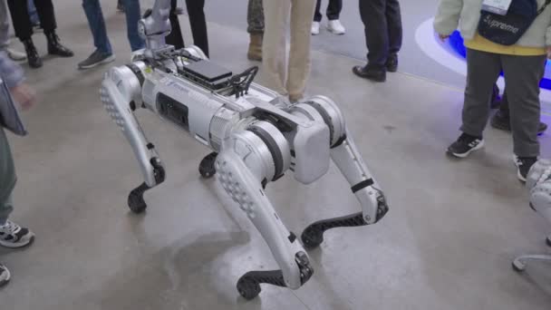 Vierbeiniger Roboterhund Roboter Gepard Roboterhund Macht Bewegungen Auf Der Busan — Stockvideo