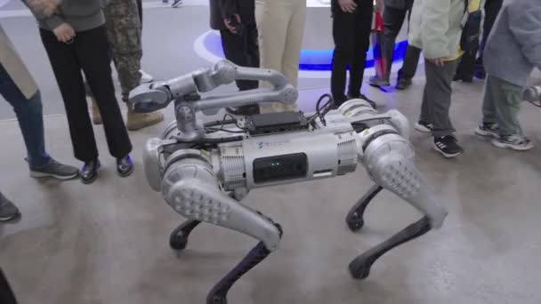 Čtyřnohý Robotí Robot Gepard Robodog Dělá Pohyby Busan Drone Show — Stock video