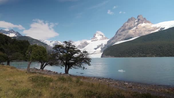 Spegazzini Glacier Los Glaciares国家公园阿根廷巴塔哥尼亚圣克鲁斯省 高质量的4K镜头 — 图库视频影像
