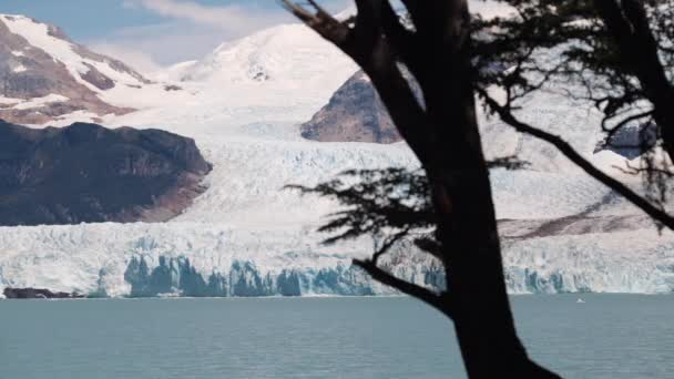 アルゼンチン湖 ロス氷河国立公園 サンタクルーズ州 パタゴニア アルゼンチンのSpgazzini氷河 高品質4K映像 — ストック動画