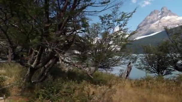 Spegazzini Glacier Los Glaciares Nemzeti Park Santa Cruz Tartomány Patagónia — Stock videók