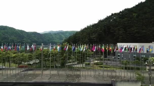 所有的国旗在Muju Korea跆拳道公园 高质量的4K镜头 — 图库视频影像