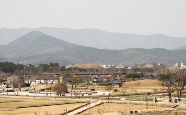 Güney Kore, Gyeongju 'daki Cheomseongdae Parkı. Yüksek kalite fotoğraf