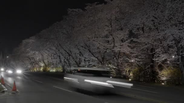 Cherry Blossom Night Time Lapse Com Tráfego Movimento Rápido Imagens — Vídeo de Stock
