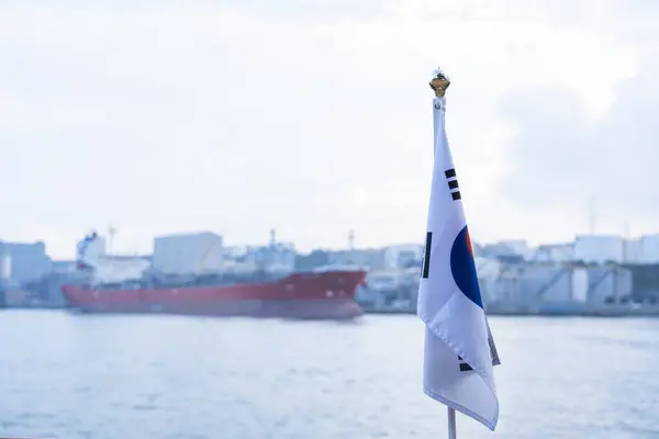 韩国国旗在背风中飘扬 高质量的照片 免版税图库照片
