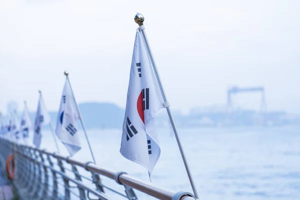 韩国国旗在背风中飘扬 高质量的照片 图库图片