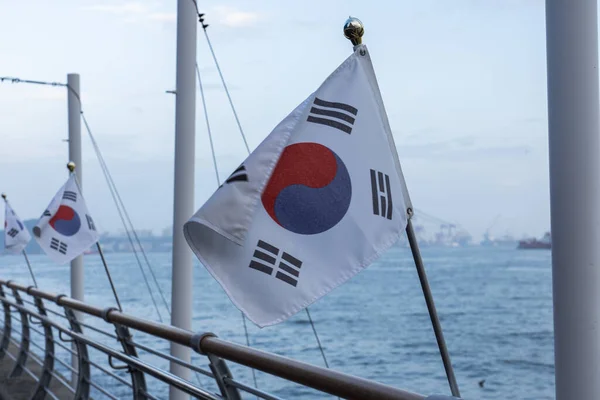 韩国国旗在背风中飘扬 高质量的照片 图库图片