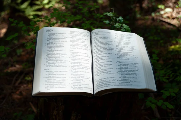 Otwórz Biblię Psalmie 119 Zewnątrz Kazalnicy Ścinanego Pnia Drzewa Oświetlonego — Zdjęcie stockowe
