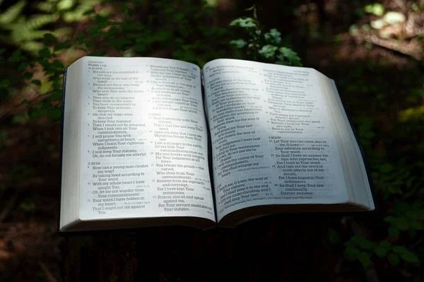 Otwórz Biblię Psalmie 119 Zewnątrz Kazalnicy Ścinanego Pnia Drzewa Oświetlonego — Zdjęcie stockowe