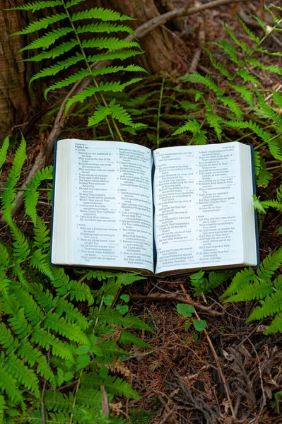 Sainte Bible Ouvert Dans Psaume 119 Extérieur Dans Feuillage Vert — Photo