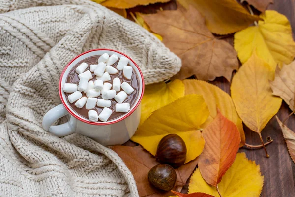 Kopje Met Warme Chocolademelk Met Marshmallows Omgeven Door Een Beige — Stockfoto