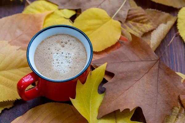 Van Boven Rode Beker Met Koffie Omgeven Door Herfst Kleurrijke — Stockfoto