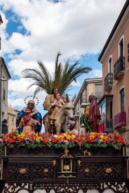 Kutsal Hafta alayı La Borriquita, Palm Sunday, Salamanca, İspanya.