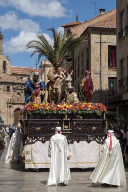 Kutsal Hafta alayı La Borriquita, Palm Sunday, Salamanca, İspanya.