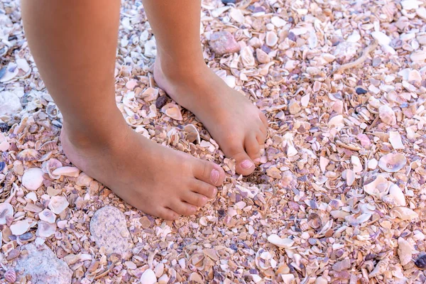 detail of a little girl\'s feet on broken shells on an urban beach