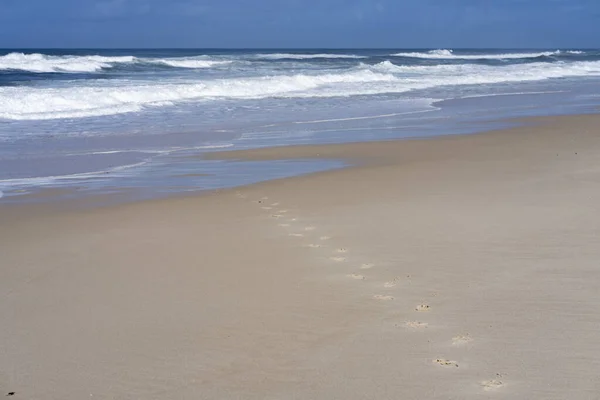 Fotspår Sanden Stranden Och Med Hav Eller Havsvåg Bakgrunden — Stockfoto