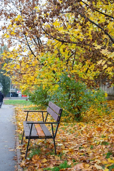Bench Autumn City Yellow Leaves Road — Stock Photo, Image
