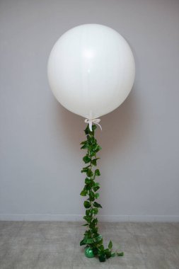 Duvarın arkasında yeşil bir liana olan beyaz balon devi.
