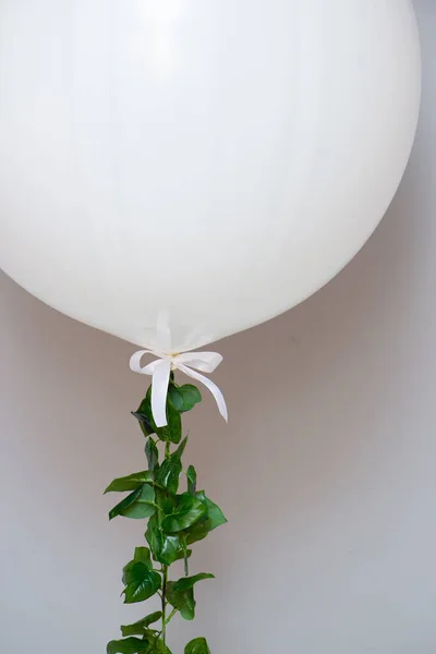 white balloon giant with a green liana on the background of the wall