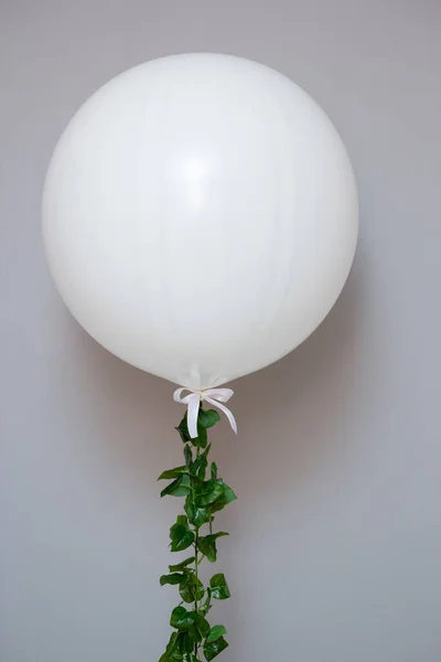 white balloon giant with a green liana on the background of the wall