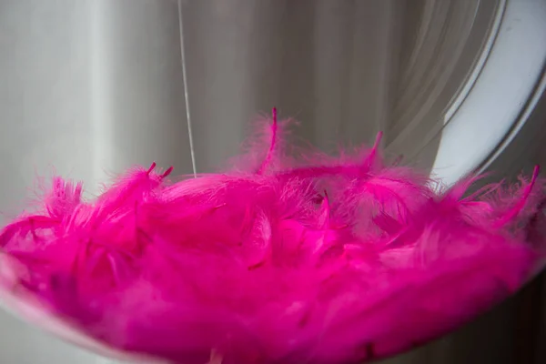 pink feathers in transparent balloon bubbles