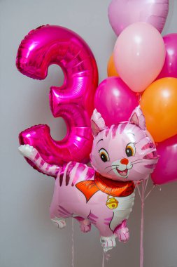 Raspberry number 3, pink kitty and pink pony, pink and crimson balloons
