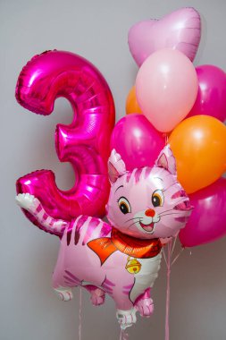 Raspberry number 3, pink kitty and pink pony, pink and crimson balloons