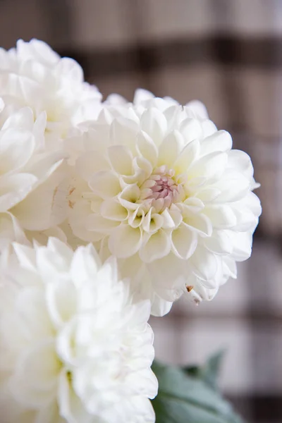 Bouquet White Chrysanthemums Vase Table — Stock Photo, Image