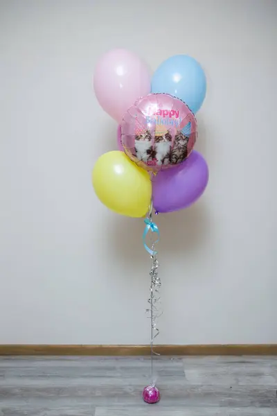 colorful balloons with helium, balloon with kittens
