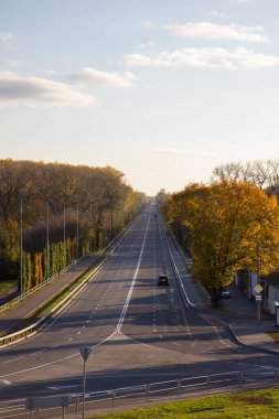 Chernigov 'da sonbahar ağaçlarının arasından geçen bir yol.