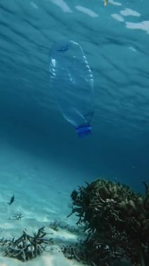 Çöpe atılmış plastik bir şişe, ölü bir mercan resifinin yanında sürüklenerek okyanus kirliliğini ön plana çıkarıyor. Deniz enkazı su ekosistemlerini ve biyolojik çeşitliliği tehdit ediyor. Dikey video