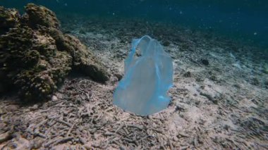 Çöpe atılmış bir plastik torba, balıklarla çevrili ölü bir mercan resifinin yanında yüzer. Deniz kirliliği biyolojik çeşitliliği tehdit ediyor, ekosistemlere zarar veriyor ve büyüyen küresel atık sorununu yansıtıyor.