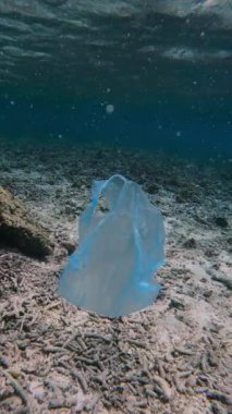 Çöpe atılmış bir plastik torba, balıklarla çevrili ölü bir mercan resifinin yanında yüzer. Deniz kirliliği biyolojik çeşitliliği tehdit ediyor, ekosistemlere zarar veriyor ve büyüyen küresel atık sorununu yansıtıyor.