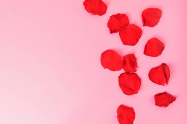 Pastel pembe arka planda gül yaprakları, boşluğu kopyala