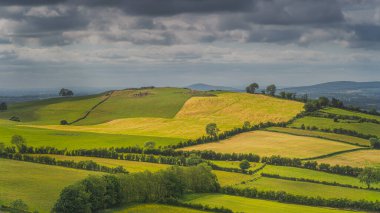 Eski, neolitik mezar odaları ve Loughcrew Cairns 'in taş çemberleri bir tepenin üstünde, güneş ışığıyla aydınlatılmış,