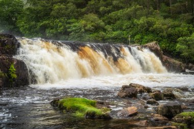 Aasleagh Falls on Erriff River with a green, lush forest in background. Waterfall on rushing river, County Mayo, Ireland