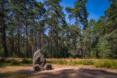 Central stones of Stone Circles at Odry in the forest, ancient burial and worship place. UNESCO Archaeological and Natural Reserve, Pomerania, Poland