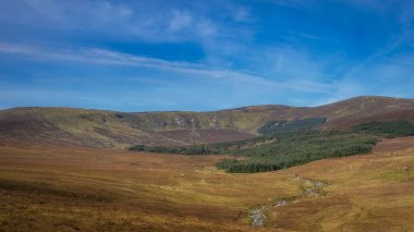 Ormana giden deresi olan güzel bir manzara ve arkasında saklanan Lough Ouler. Tonelagee Dağı Foothill, Wicklow Dağları, İrlanda