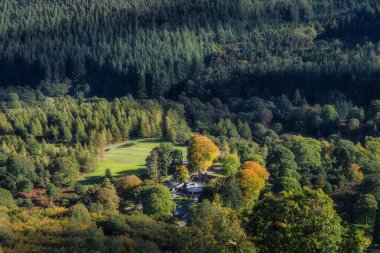 Powerscourt Şelalesi 'nin yanındaki çocuk parkı, ormanda saklı. Wicklow Dağları Sonbahar renklerinde, İrlanda