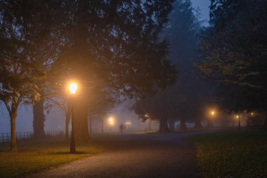Ağaçlarla çevrili yoğun sis içinde yürüyen ve Phoenix Park, Dublin, İrlanda 'daki klasik sokak lambalarıyla aydınlatılan bulanık insanlar.