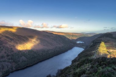 Gün batımının erken saatlerinde parlayan çam ağaçları ve Glendalough gölleri manzaralı bir dağın tepesindeki tahta kaldırım. Wicklow Dağları, İrlanda