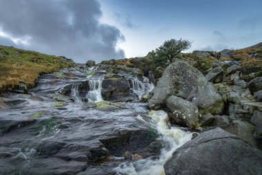 Glendalough 'da küçük şelaleler ve şelaleler. Güzel sonbahar Wicklow Dağlarında yürüyüş, İrlanda