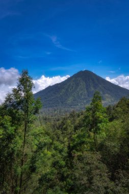 Dağdan manzara kesinlikle nefes kesicidir. Etrafı yemyeşil yemyeşil ve endonezya, Doğu Java, Ijen Volkanı ve Endonezya 'yı güzelleştiren canlı mavi gökyüzü ile çevrilidir.