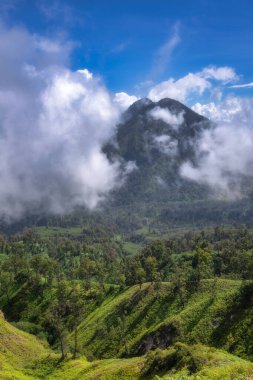 The majestic mountain peak captivates everyone with its fluffy white clouds and the fertile lush green hills, showcasing the true, breathtaking beauty of nature itself, Java, Ijen Volcano, Indonesia clipart