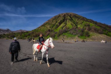 Java, Endonezya, 2 Ekim 2024 Eşsiz ve heyecan verici bir at biniciliği macerasına atlayın, çarpıcı Bromo volkanik manzaraları ve canlı, yemyeşil manzaraları karşısında.